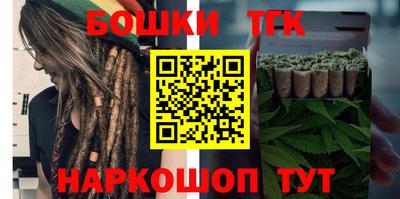 МДПВ Будённовск