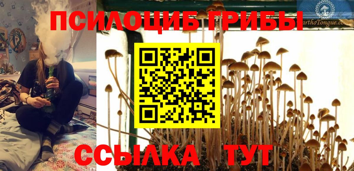 Муром  где продают   Вход с VPN  Псилоцибиновые грибы Magic Shrooms 