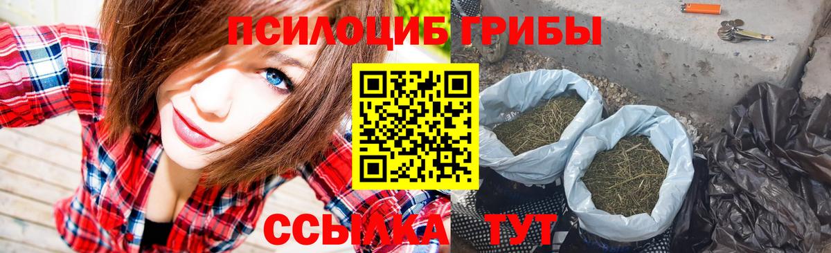 Псилоцибиновые грибы GOLDEN TEACHER Муром